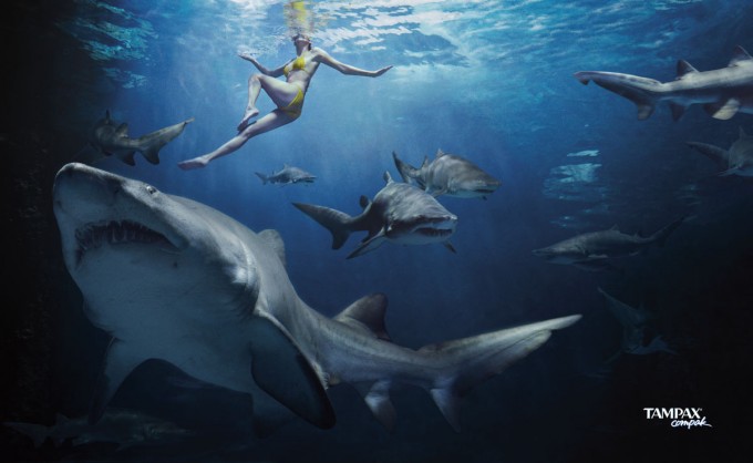 Tampax-requins-680x418