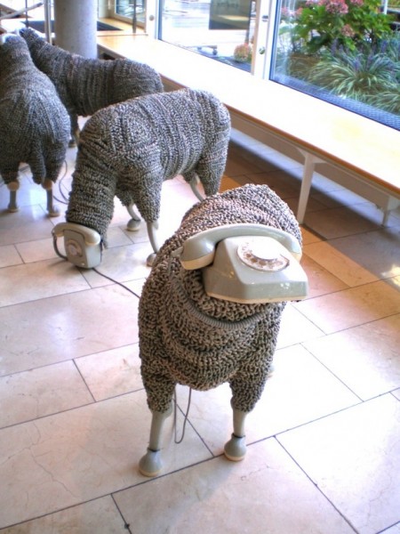 M_moutons_jean_luc_cornec