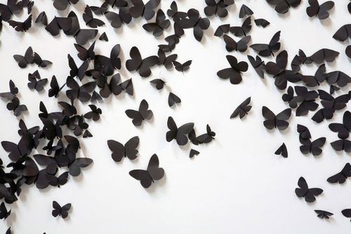 Plentyofcolour_blackmoths5