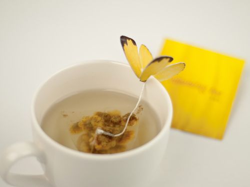 Butterfly-tea-bag-04